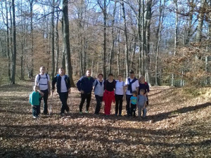 WP_20151108_14_08_27_Pro