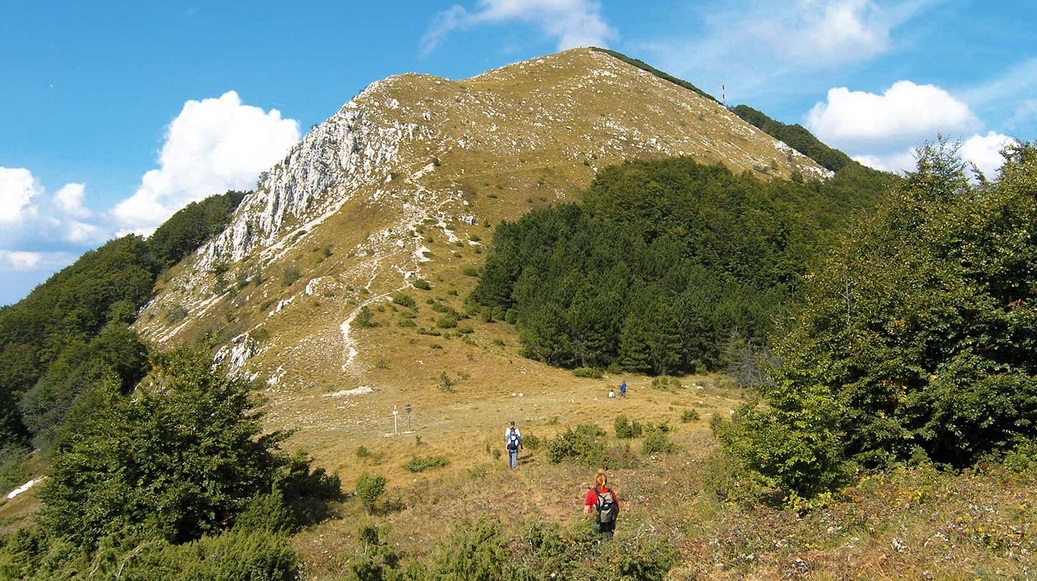 PLANINARSKA 1