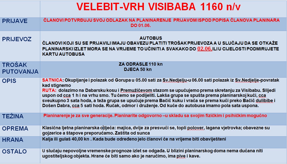 visibaba 19