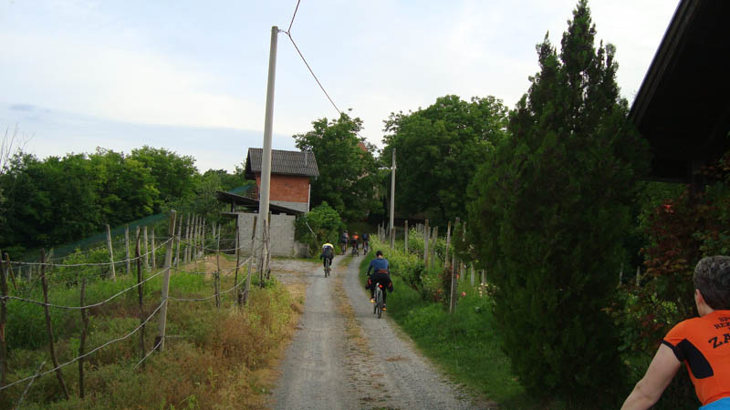 DSC02261