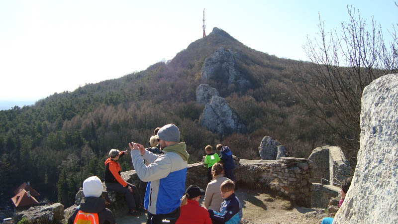 DSC02246